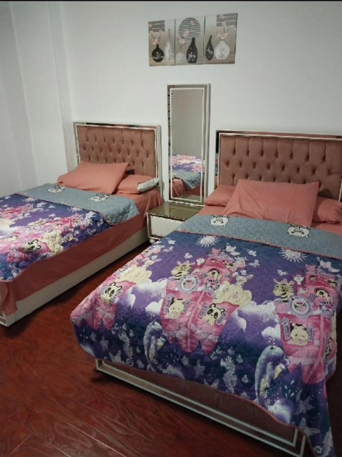 Apartment مفروشة للايجار عباس الرئيسي